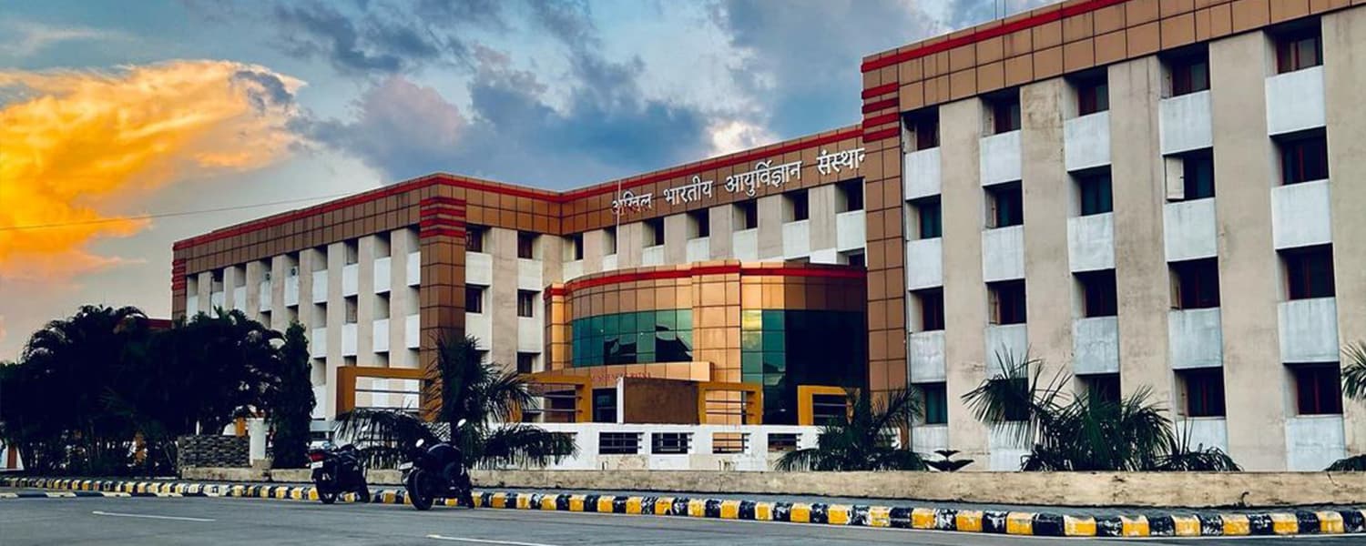 All India Institute of Medical Sciences, Patna