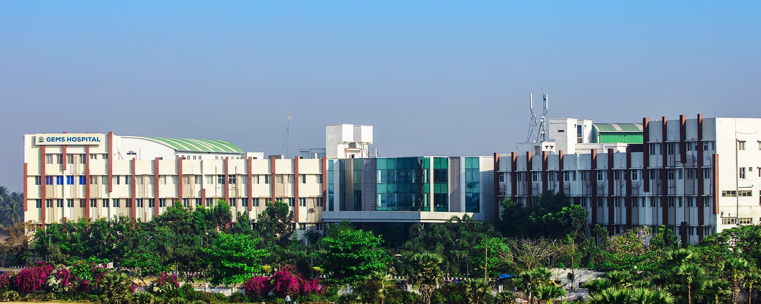 Great Eastern Medical School and Hospital, Srikakulam